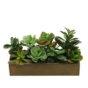 11.5" Artificial Mixed Succulent Plants in a Decorative Brown Wooden Rectangular Pot