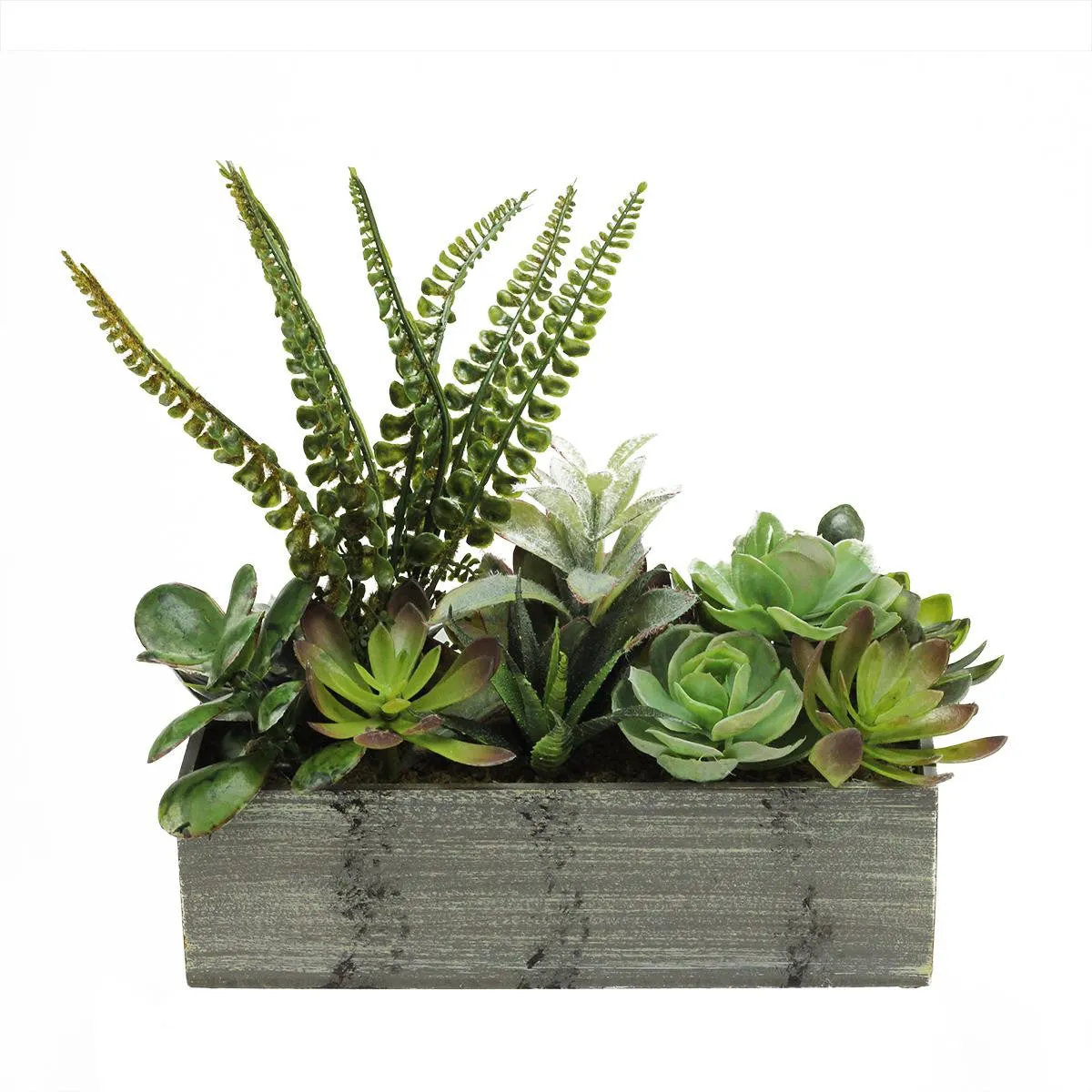 11.75" Artificial Mixed Succulent Plants in a Decorative Weathered Gray Wooden Rectangular Pot