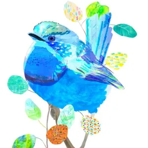 Braw Paper Co. - Splendid Fairy Wren Art Print (tri017)